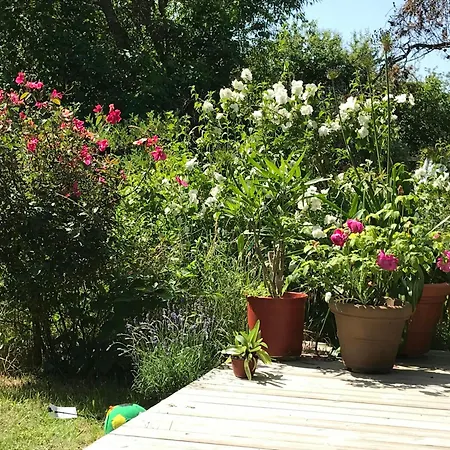 Ferienhaus Summer House With Fairy-tale Garden On Sjaelland