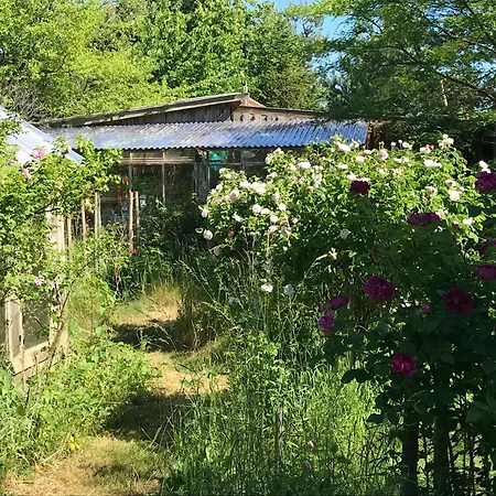 Summer House With Fairy-tale Garden On Sjaelland Ferienhaus